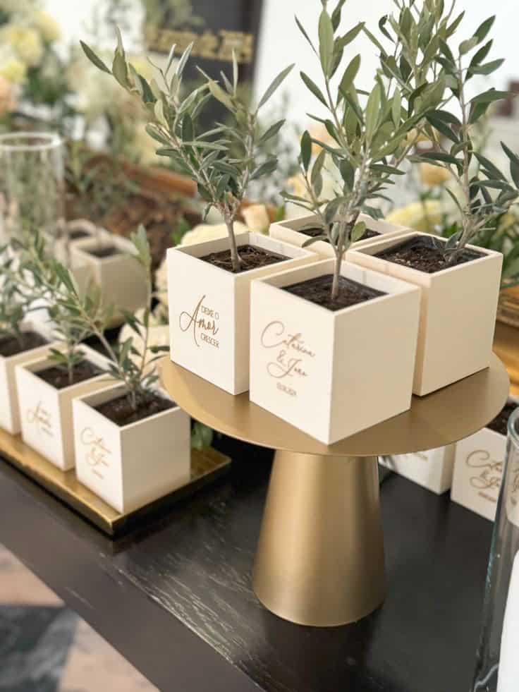 Mărturii de botez personalizate care chiar vor fi păstrate