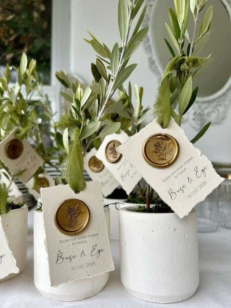 Mărturii de botez personalizate care chiar vor fi păstrate