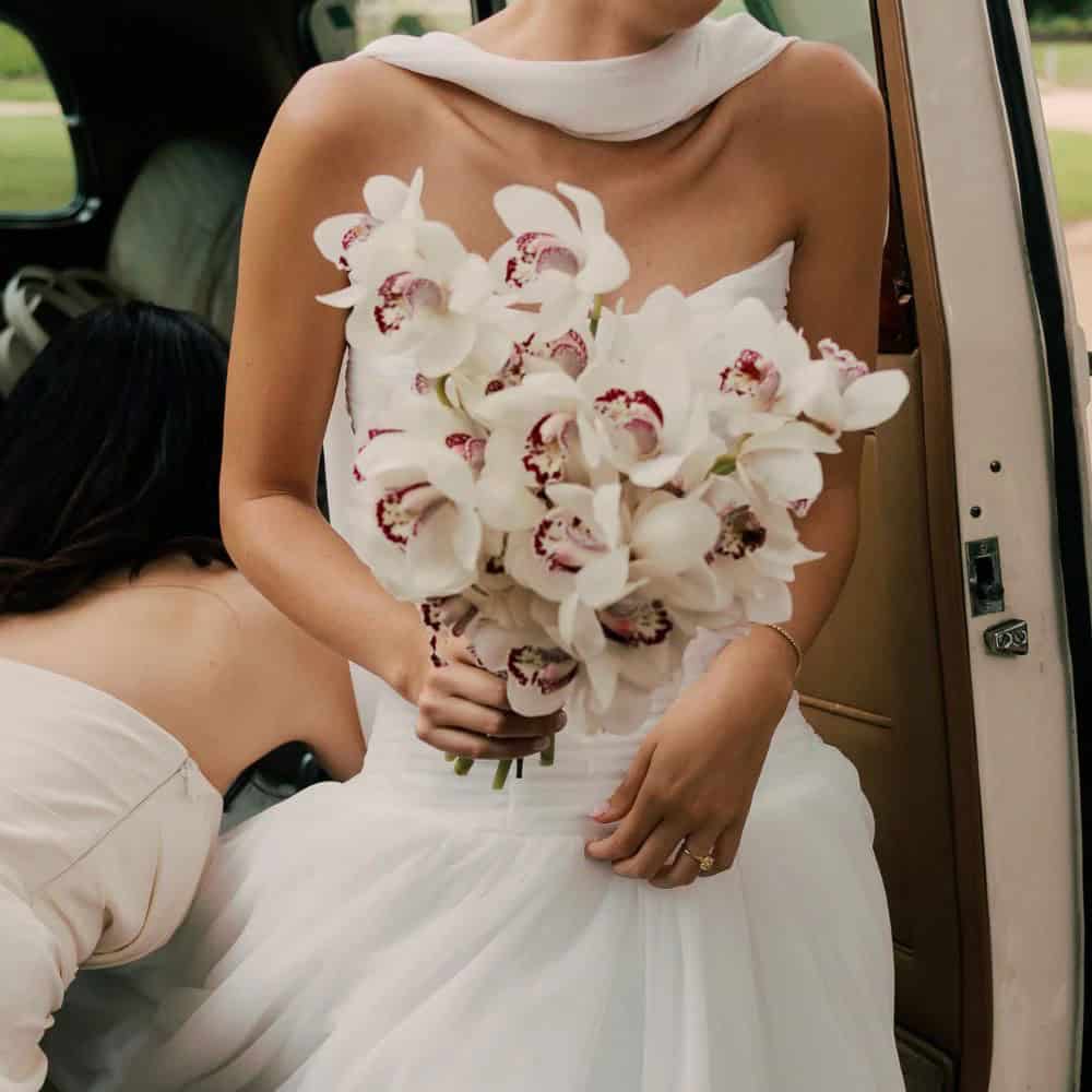 Artiști Florali Și Limbajul Lor Vizual