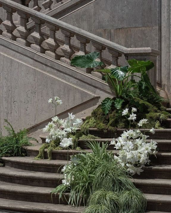 Artiști Florali Și Limbajul Lor Vizual