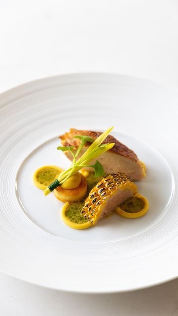 Plating-ul ca artă în evenimente