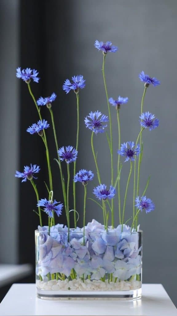 Diferențele între nunțile japoneze și europene — cu focus pe design floral și estetică