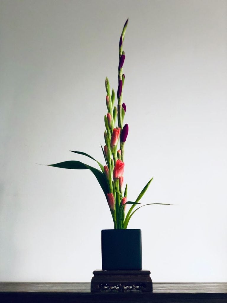 Aranjamente florale japoneze – arta ikebana și estetică florală pentru nunți și evenimente