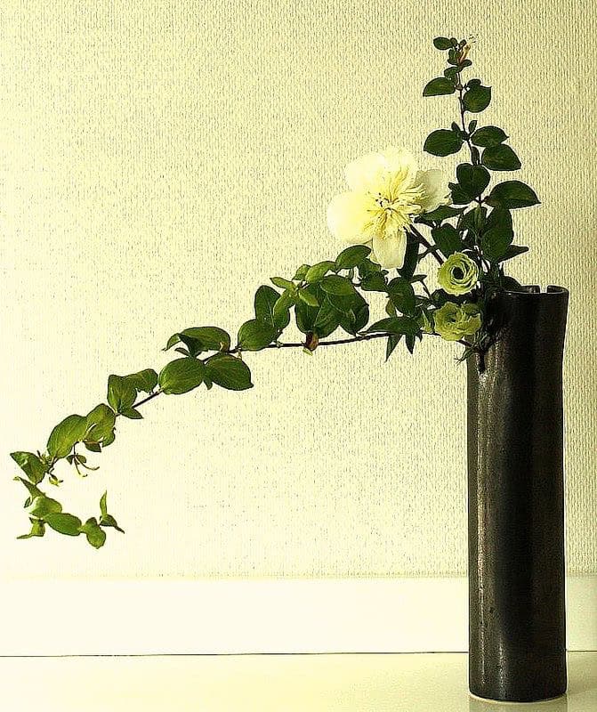Aranjamente florale japoneze – arta ikebana și estetică florală pentru nunți și evenimente
